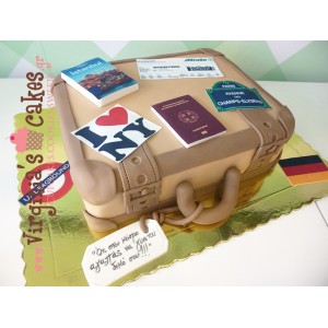 Travel Suitcase