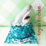 Shark