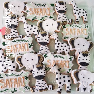 Safari